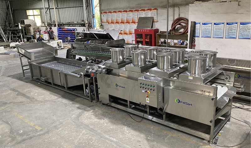 images/1654071663881cherry tomato sizing  machine.jpg